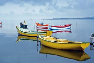 sail boats